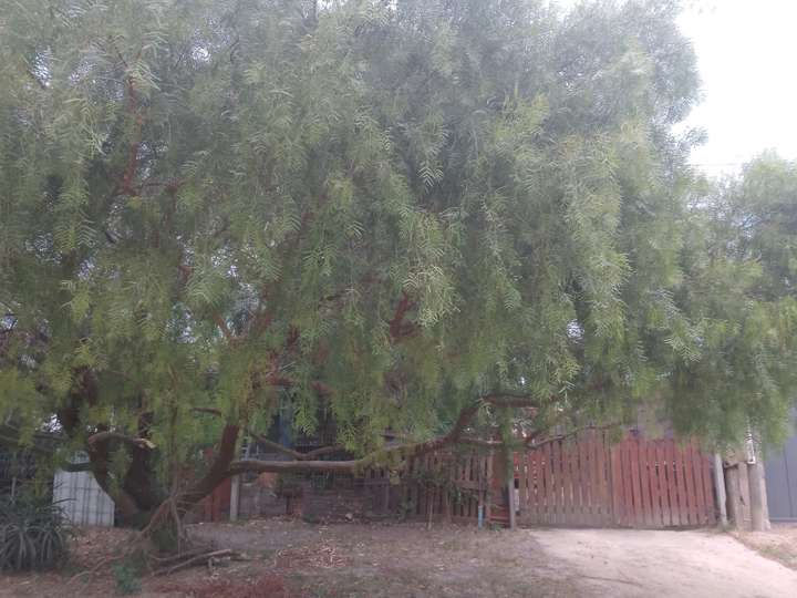 Casa en venta en Pinamar