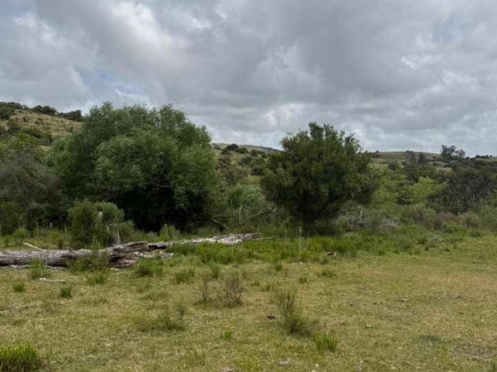 Granja en venta en Lavalleja