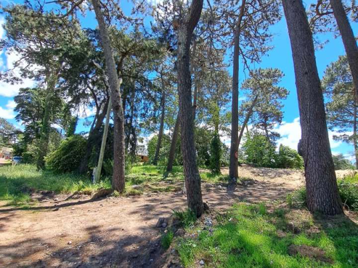 Terreno en venta en Avenida Franklin Delano Roosevelt, Maldonado