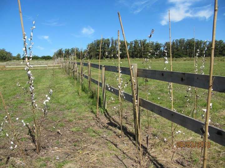 Terreno en venta en Humberto Megget, Maldonado