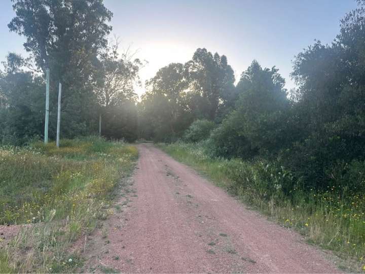 Terreno en venta en Davos, Maldonado