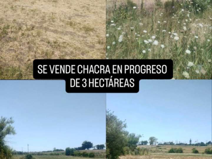 Granja en venta en República del Paraguay, Canelones