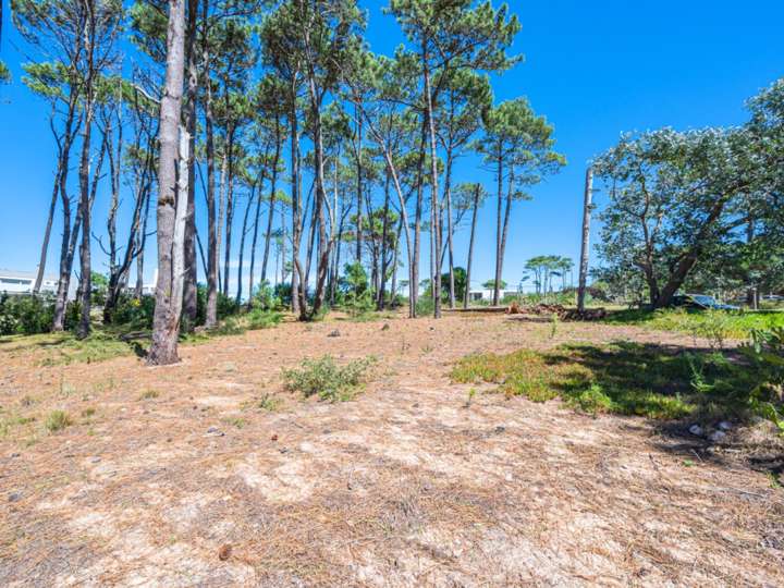 Terreno en venta en Maldonado