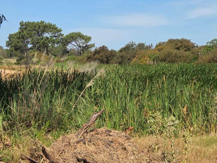 Terreno en venta en Maldonado