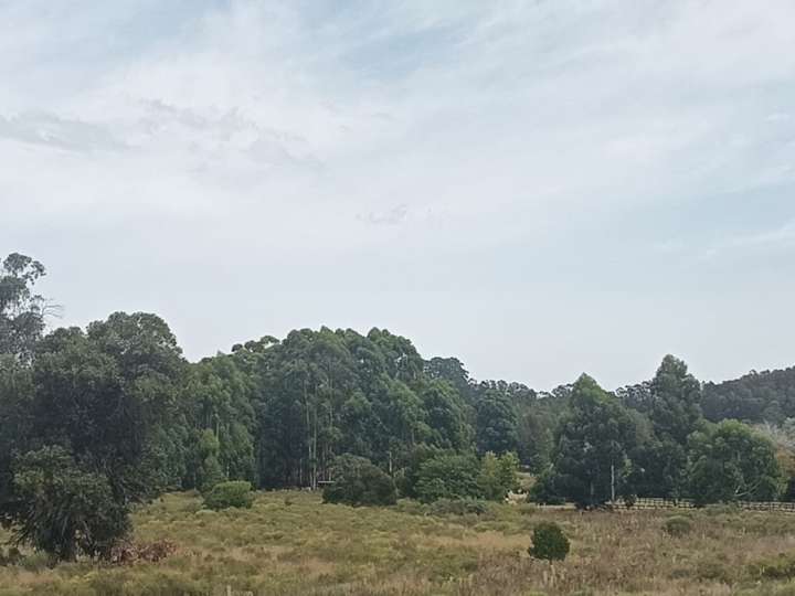 Terreno en venta en Camino del Cerro Eguzquiza, Maldonado