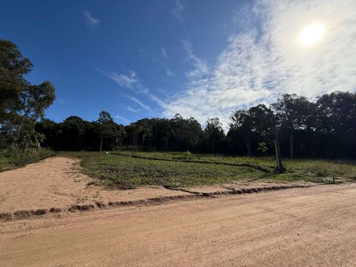 Terreno en venta en Memorias, Punta Ballena