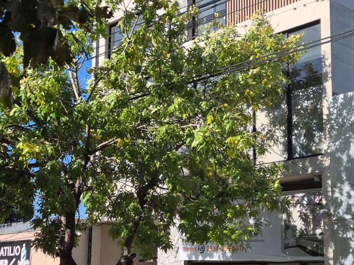 Departamento en alquiler en Avenida San Martín, 559, General Rodríguez