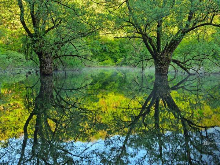Departamento en alquiler en Cuba, 2637, Ciudad Autónoma de Buenos Aires