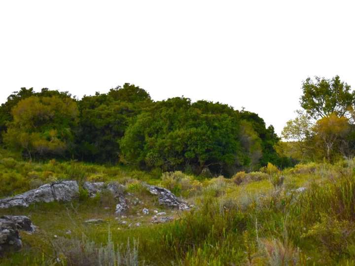 Granja en venta en Lavalleja