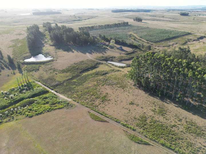 Granja en venta en Maldonado