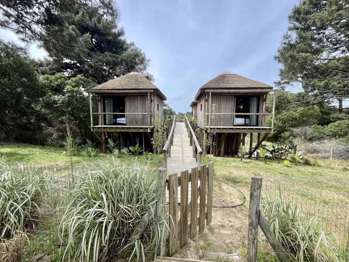 Casa en venta en Maldonado