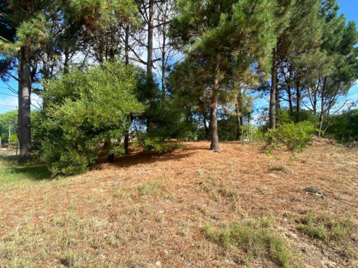 Terreno en venta en Neptunia