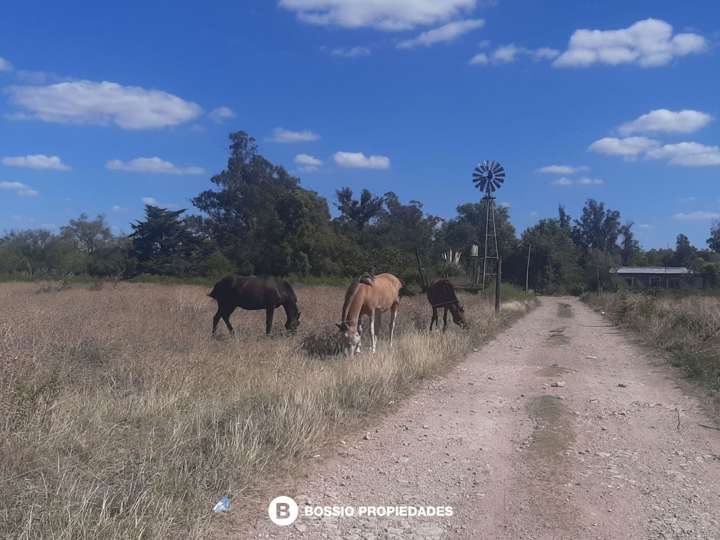 Casa adosada en venta en Argerich, 1400, Ciudad Autónoma de Buenos Aires