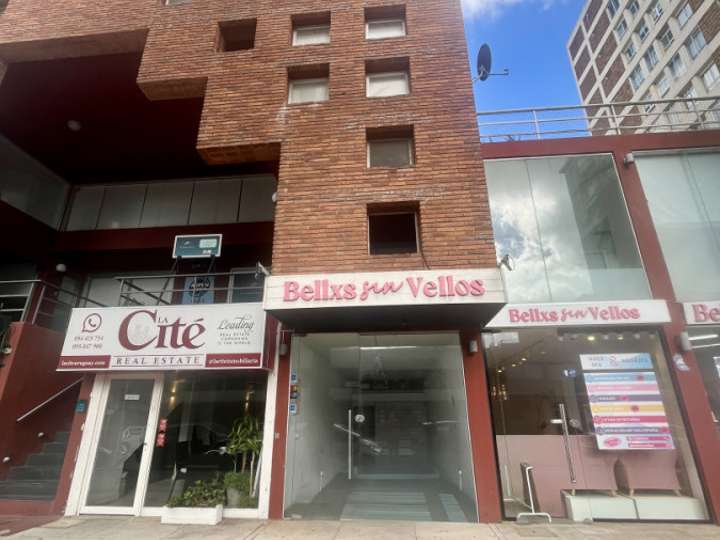 Comercial / Tienda en alquiler en Maldonado