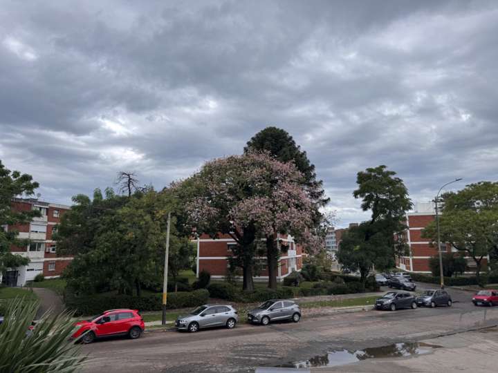 Apartamento en venta en Mangaripe, Montevideo