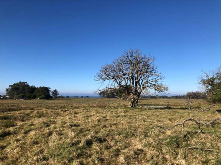 Terreno en venta en Principal, Rocha