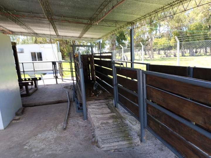 Terreno en venta en Partido de Punta Indio, Buenos Aires