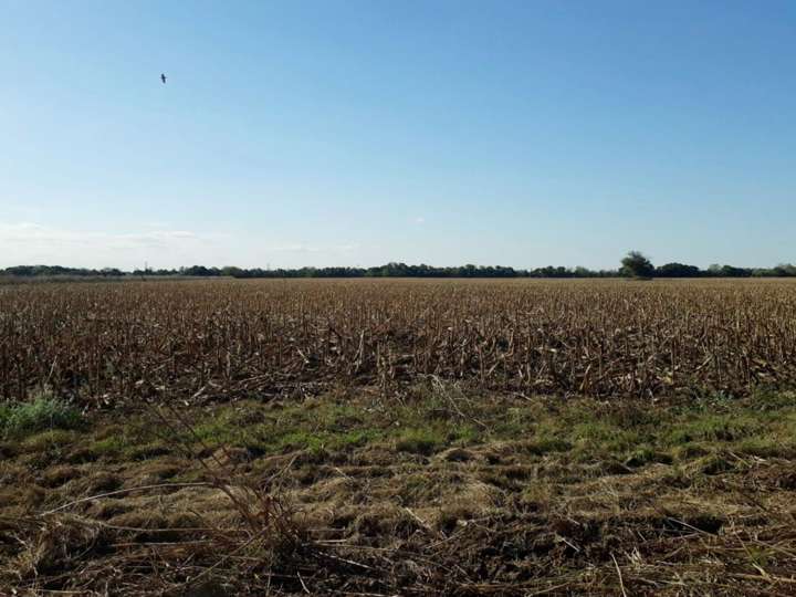 Terreno en venta en Partido de General Villegas, Buenos Aires