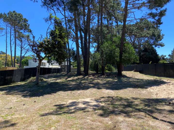 Terreno en venta en Los Plátanos, Maldonado