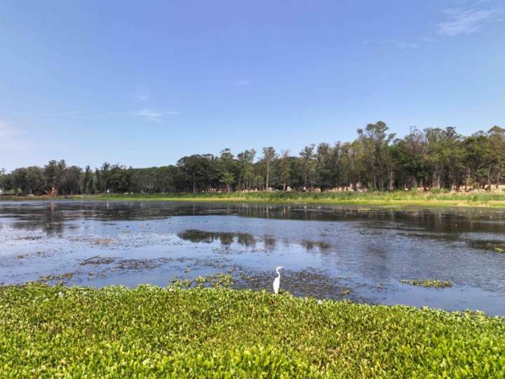 Terreno en venta en La Barra