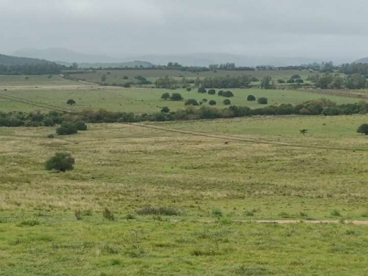 Granja en venta en Lavalleja