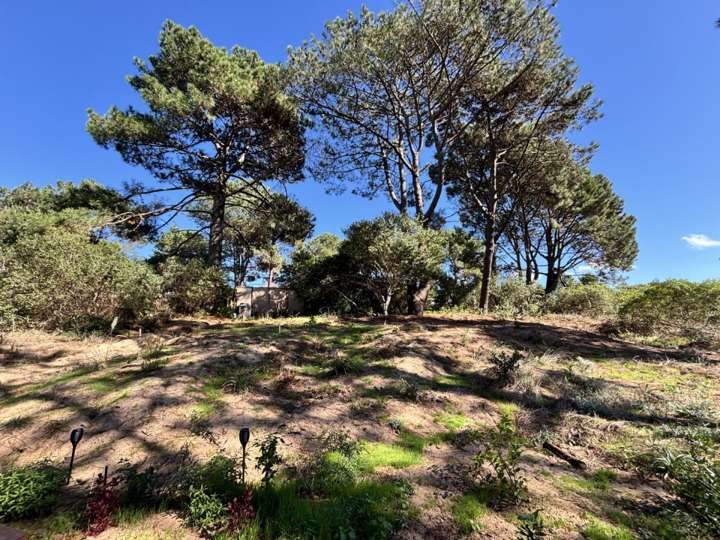 Terreno en venta en La Botavara, Maldonado