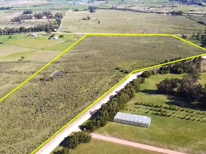 Granja en venta en Camino de las Lechuzas, Maldonado