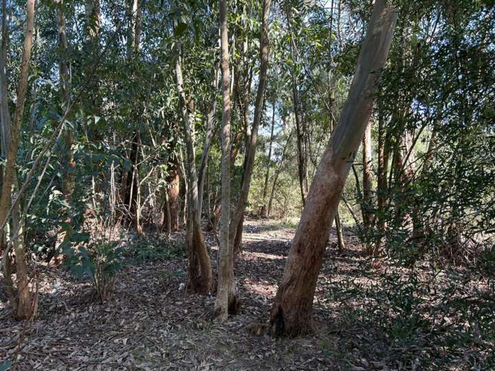 Terreno en venta en Tabaré, Maldonado