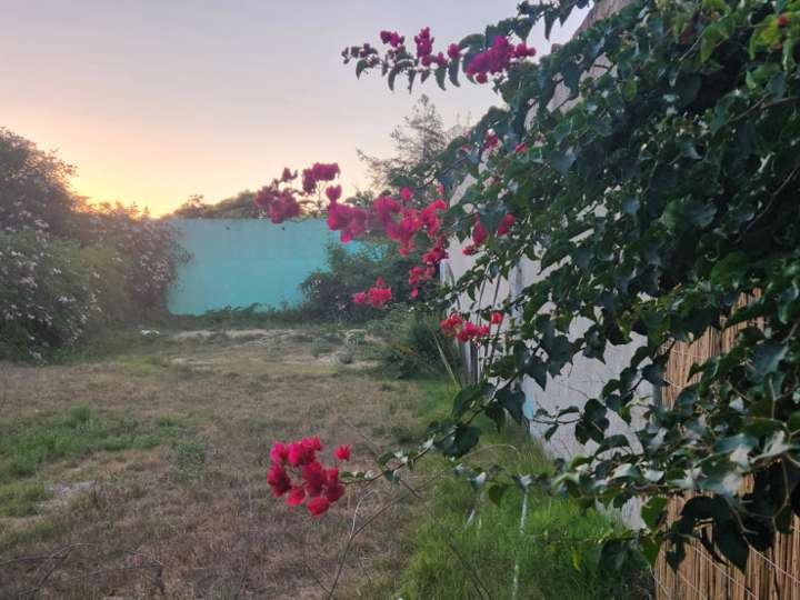 Terreno en venta en Víctor Ruiz, El Tesoro