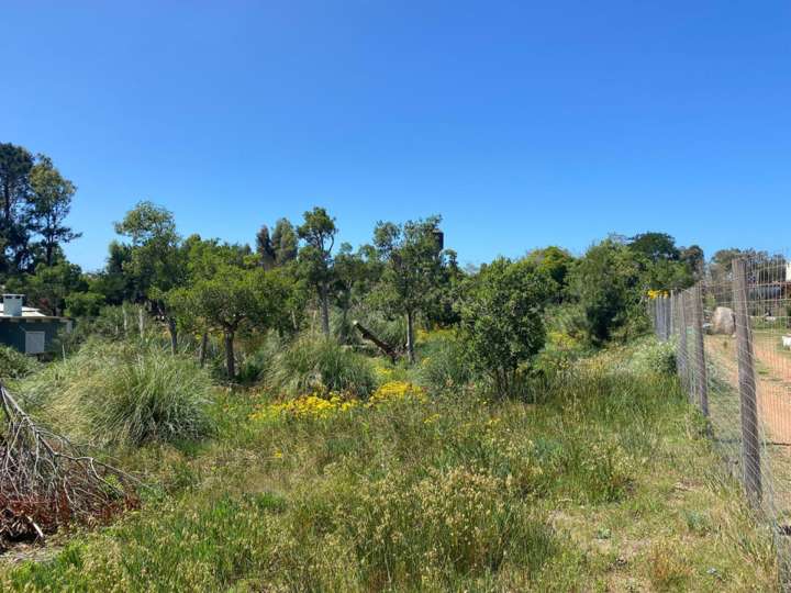 Terreno en venta en Ajax, La Barra