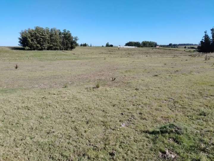 Granja en venta en Maldonado