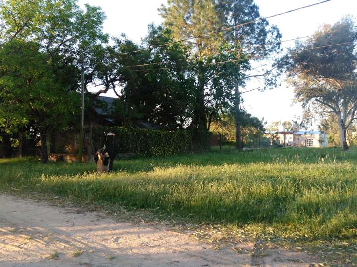 Terreno en venta en Calle 40 - 1