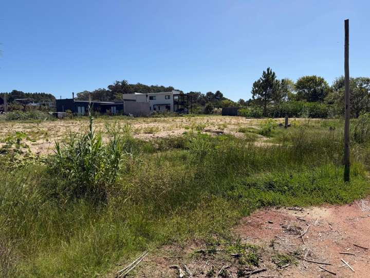 Terreno en venta en Divina Comedia, Punta Ballena
