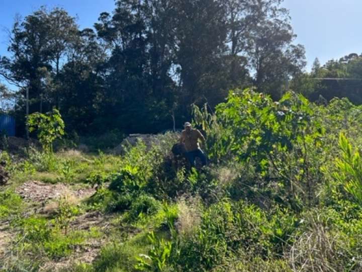 Terreno en venta en Acceso a Las Grutas, Punta Ballena