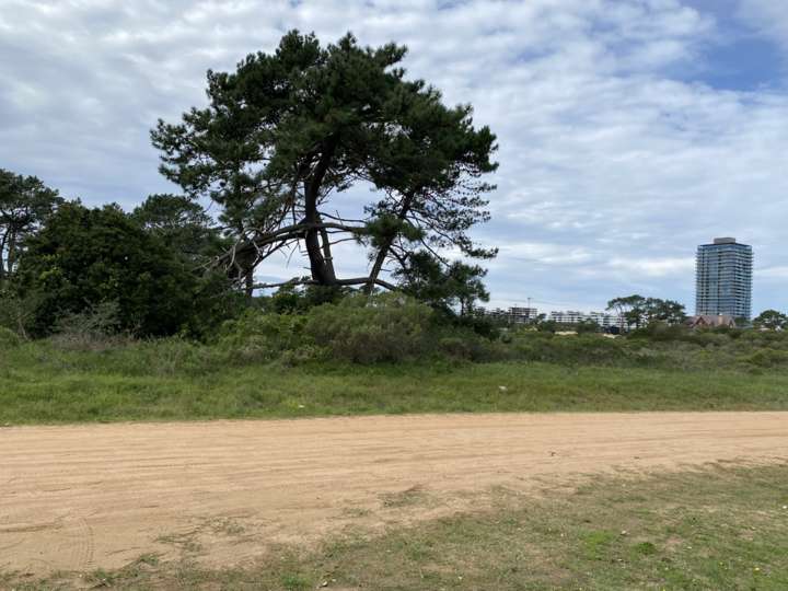Terreno en venta en Teodoro Chesserau, Maldonado