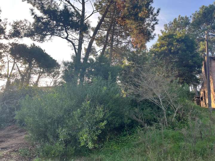 Terreno en venta en Can Mayor, Maldonado