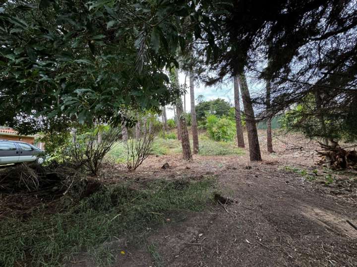 Terreno en venta en Durazno, Maldonado