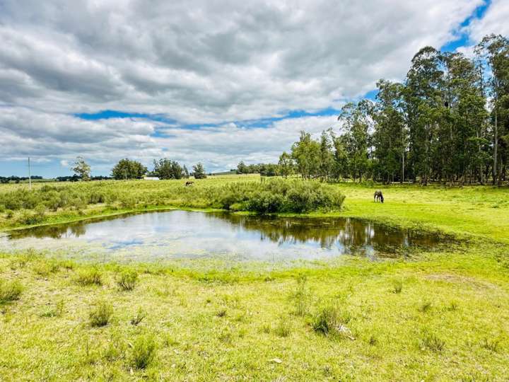 Granja en venta en Rambla General Artigas, Maldonado