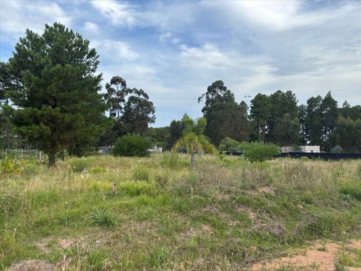 Terreno en venta en Arco Iris, Maldonado