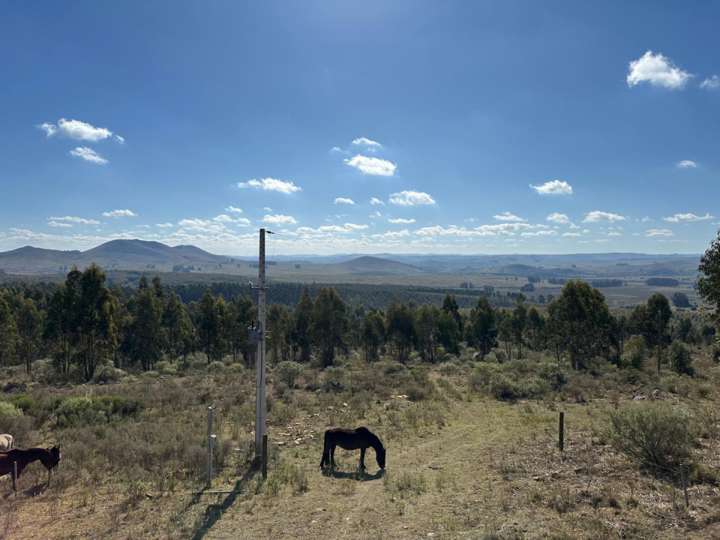Granja en venta en Lavalleja