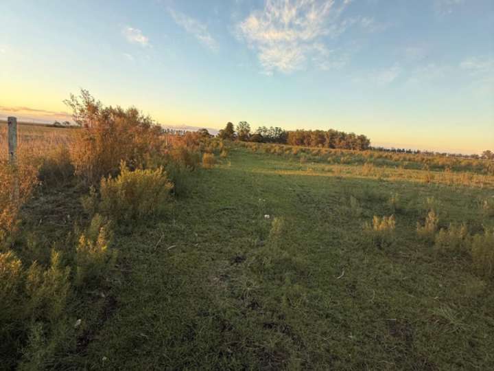 Granja en venta en Durazno