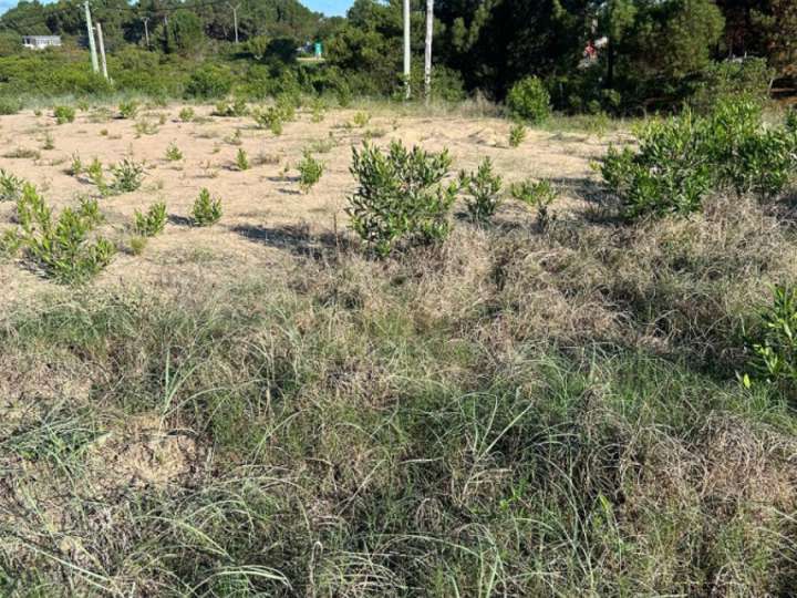 Terreno en venta en Punta Ballena
