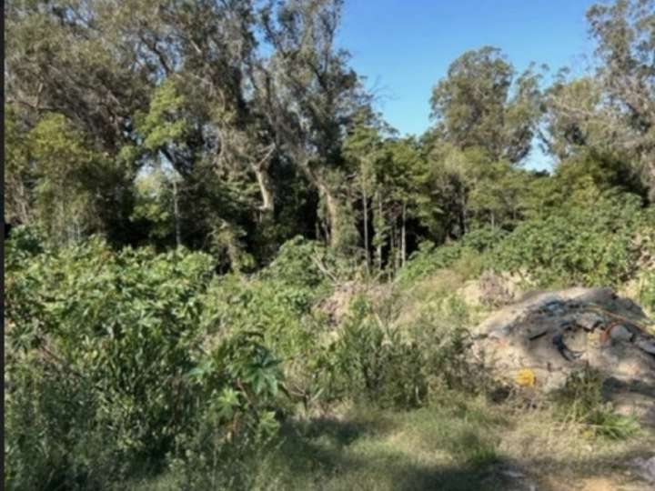 Terreno en venta en Punta Ballena