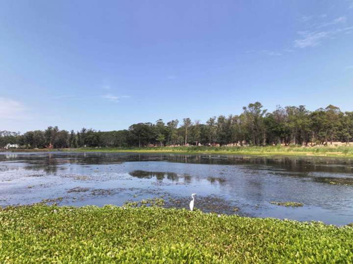 Terreno en venta en La Barra