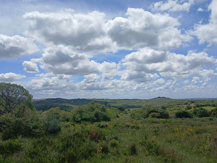 Granja en venta en Valdivia, Aiguá