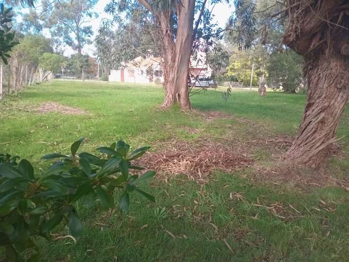 Terreno en venta en Pinares, Maldonado