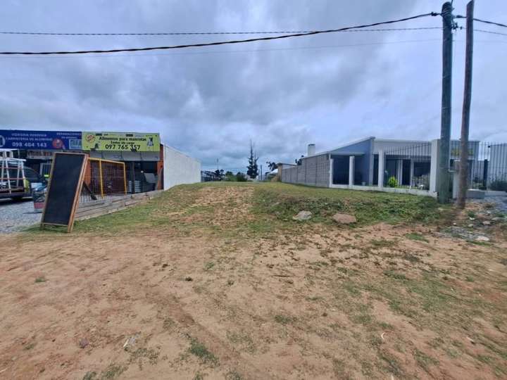 Terreno en venta en Avenida General Leandro Gómez, Maldonado