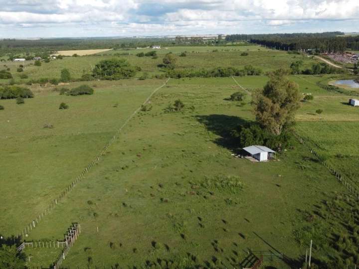 Granja en venta en Paysandú