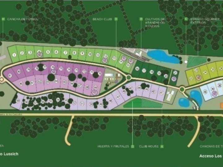 Terreno en venta en Punta Ballena