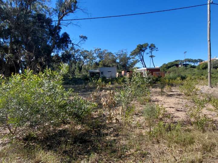 Terreno en venta en Avenida de los Ceibos, Maldonado